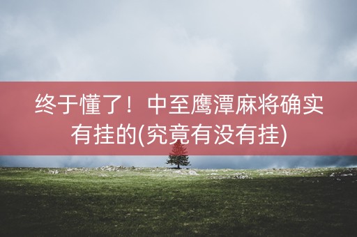 终于懂了！中至鹰潭麻将确实有挂的(究竟有没有挂)