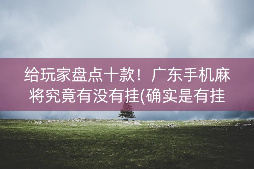 给玩家盘点十款！广东手机麻将究竟有没有挂(确实是有挂)