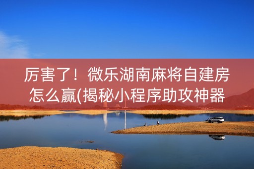 厉害了！微乐湖南麻将自建房怎么赢(揭秘小程序助攻神器)