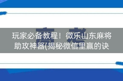 玩家必备教程！微乐山东麻将助攻神器(揭秘微信里赢的诀窍)