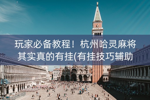玩家必备教程！杭州哈灵麻将其实真的有挂(有挂技巧辅助器)