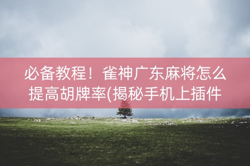 必备教程！雀神广东麻将怎么提高胡牌率(揭秘手机上插件免费)