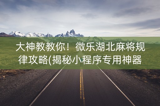 大神教教你！微乐湖北麻将规律攻略(揭秘小程序专用神器)