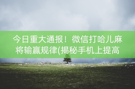 今日重大通报！微信打哈儿麻将输赢规律(揭秘手机上提高胜率)