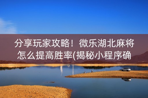 分享玩家攻略！微乐湖北麻将怎么提高胜率(揭秘小程序确实有猫腻)