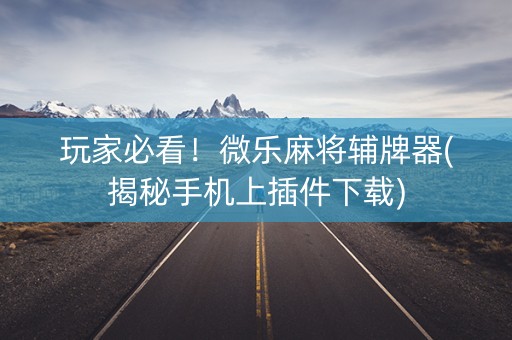 玩家必看！微乐麻将辅牌器(揭秘手机上插件下载)