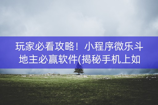 玩家必看攻略！小程序微乐斗地主必赢软件(揭秘手机上如何让牌变好)