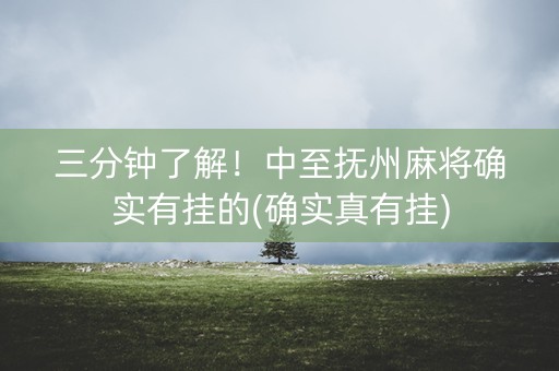 三分钟了解！中至抚州麻将确实有挂的(确实真有挂)