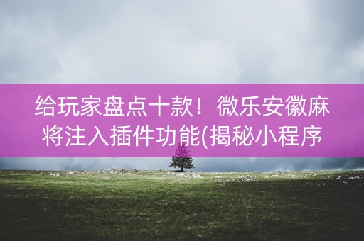 给玩家盘点十款！微乐安徽麻将注入插件功能(揭秘小程序助赢软件)