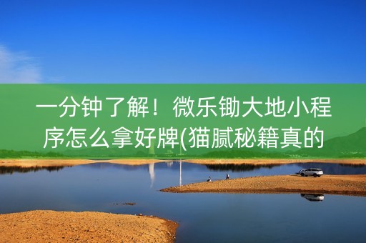 一分钟了解！微乐锄大地小程序怎么拿好牌(猫腻秘籍真的有挂)
