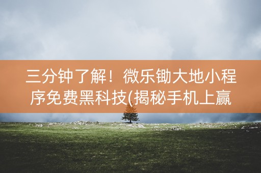 三分钟了解！微乐锄大地小程序免费黑科技(揭秘手机上赢的秘诀)