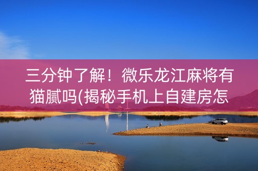 三分钟了解！微乐龙江麻将有猫腻吗(揭秘手机上自建房怎么赢)