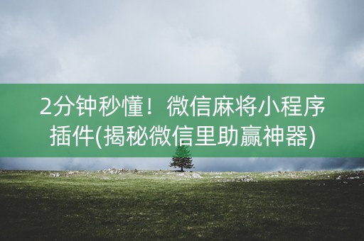 2分钟秒懂！微信麻将小程序插件(揭秘微信里助赢神器)