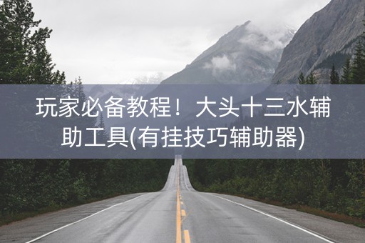 玩家必备教程！大头十三水辅助工具(有挂技巧辅助器)