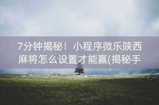 7分钟揭秘！小程序微乐陕西麻将怎么设置才能赢(揭秘手机上插件免费)