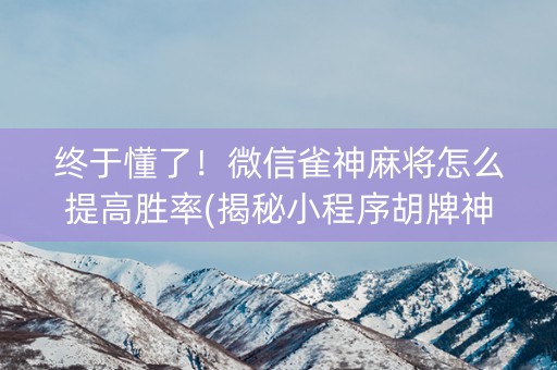 终于懂了！微信雀神麻将怎么提高胜率(揭秘小程序胡牌神器)