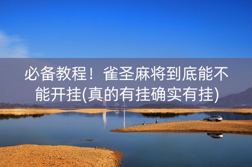 必备教程！雀圣麻将到底能不能开挂(真的有挂确实有挂)