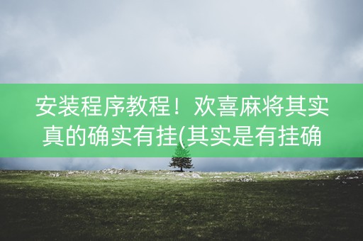 安装程序教程！欢喜麻将其实真的确实有挂(其实是有挂确实有挂)