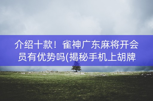 介绍十款！雀神广东麻将开会员有优势吗(揭秘手机上胡牌技巧)