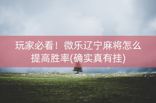 玩家必看！微乐辽宁麻将怎么提高胜率(确实真有挂)
