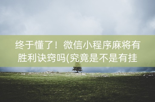 终于懂了！微信小程序麻将有胜利诀窍吗(究竟是不是有挂)