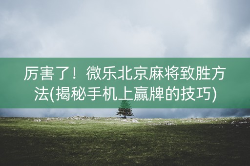 厉害了！微乐北京麻将致胜方法(揭秘手机上赢牌的技巧)