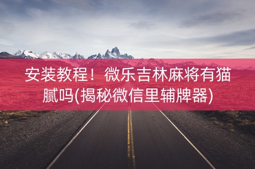 安装教程！微乐吉林麻将有猫腻吗(揭秘微信里辅牌器)