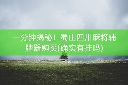 一分钟揭秘！蜀山四川麻将辅牌器购买(确实有挂吗)