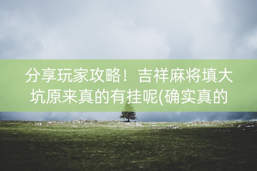 分享玩家攻略！吉祥麻将填大坑原来真的有挂呢(确实真的有挂)