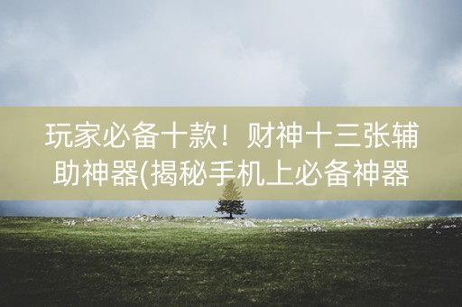 玩家必备十款！财神十三张辅助神器(揭秘手机上必备神器)