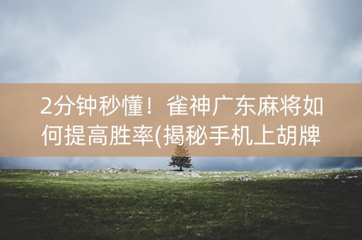 2分钟秒懂！雀神广东麻将如何提高胜率(揭秘手机上胡牌神器)