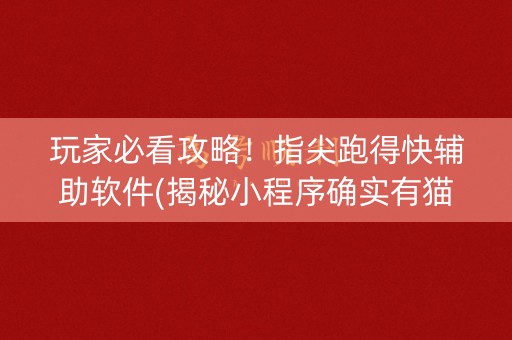 玩家必看攻略！指尖跑得快辅助软件(揭秘小程序确实有猫腻)