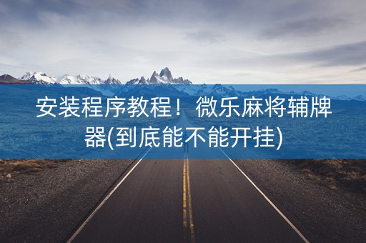 安装程序教程！微乐麻将辅牌器(到底能不能开挂)