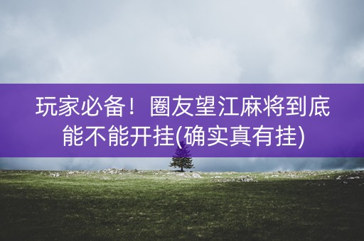 玩家必备！圈友望江麻将到底能不能开挂(确实真有挂)