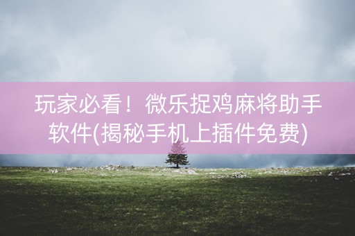 玩家必看！微乐捉鸡麻将助手软件(揭秘手机上插件免费)