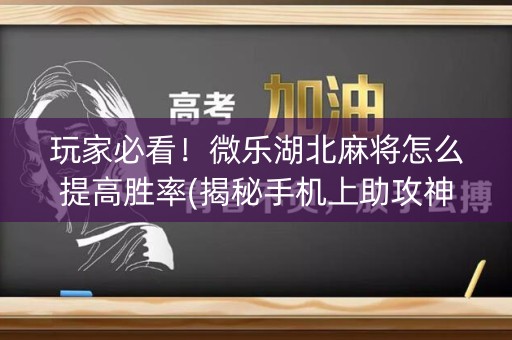 玩家必看！微乐湖北麻将怎么提高胜率(揭秘手机上助攻神器)