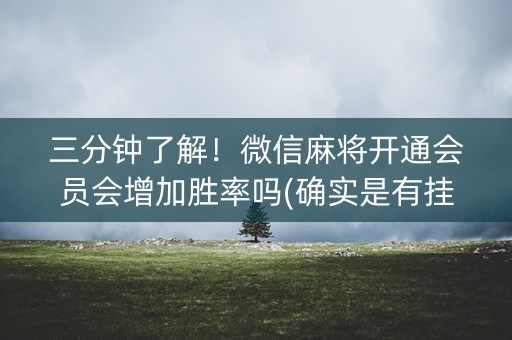 三分钟了解！微信麻将开通会员会增加胜率吗(确实是有挂的)