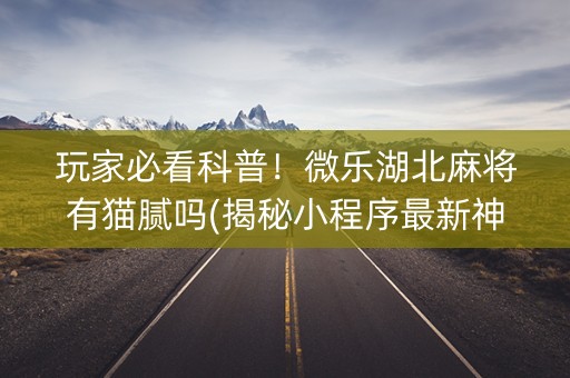 玩家必看科普！微乐湖北麻将有猫腻吗(揭秘小程序最新神器下载)