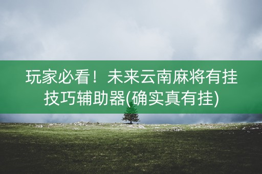 玩家必看！未来云南麻将有挂技巧辅助器(确实真有挂)