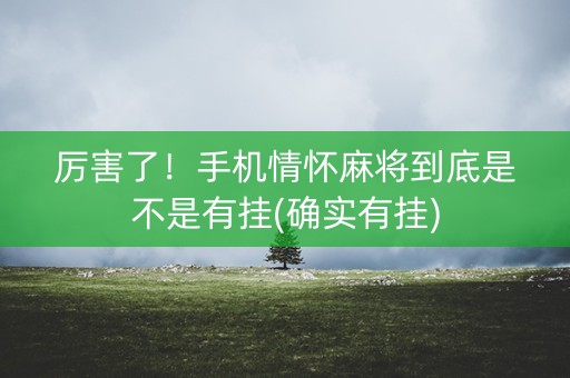 厉害了！手机情怀麻将到底是不是有挂(确实有挂)