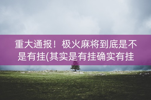 重大通报！极火麻将到底是不是有挂(其实是有挂确实有挂)