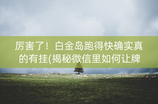 厉害了！白金岛跑得快确实真的有挂(揭秘微信里如何让牌变好)