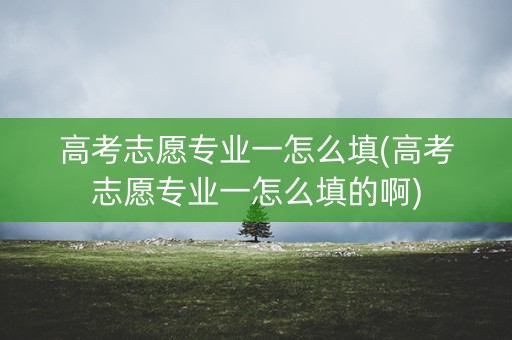 高考志愿专业一怎么填(高考志愿专业一怎么填的啊)