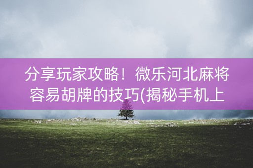 分享玩家攻略！微乐河北麻将容易胡牌的技巧(揭秘手机上攻略插件)