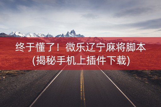 终于懂了！微乐辽宁麻将脚本(揭秘手机上插件下载)