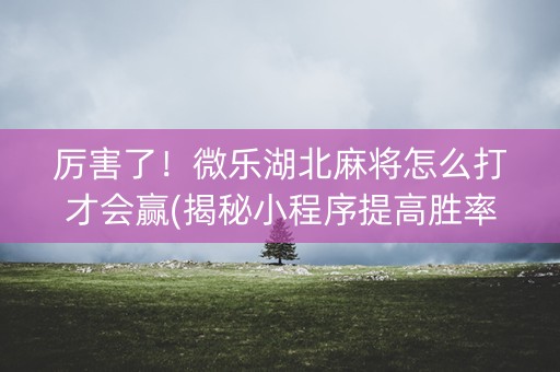 厉害了！微乐湖北麻将怎么打才会赢(揭秘小程序提高胜率)
