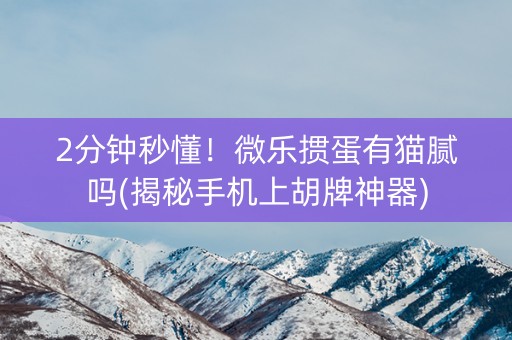 2分钟秒懂！微乐掼蛋有猫腻吗(揭秘手机上胡牌神器)