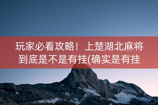 玩家必看攻略！上楚湖北麻将到底是不是有挂(确实是有挂的)