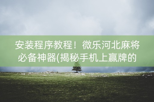 安装程序教程！微乐河北麻将必备神器(揭秘手机上赢牌的技巧)