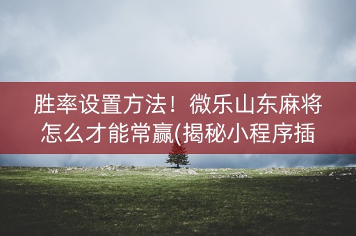 胜率设置方法！微乐山东麻将怎么才能常赢(揭秘小程序插件购买)